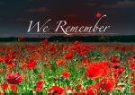 remembrance-day
